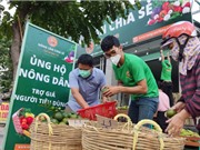 Công nghệ loại bỏ khí etylen giữ rau tươi lâu hơn